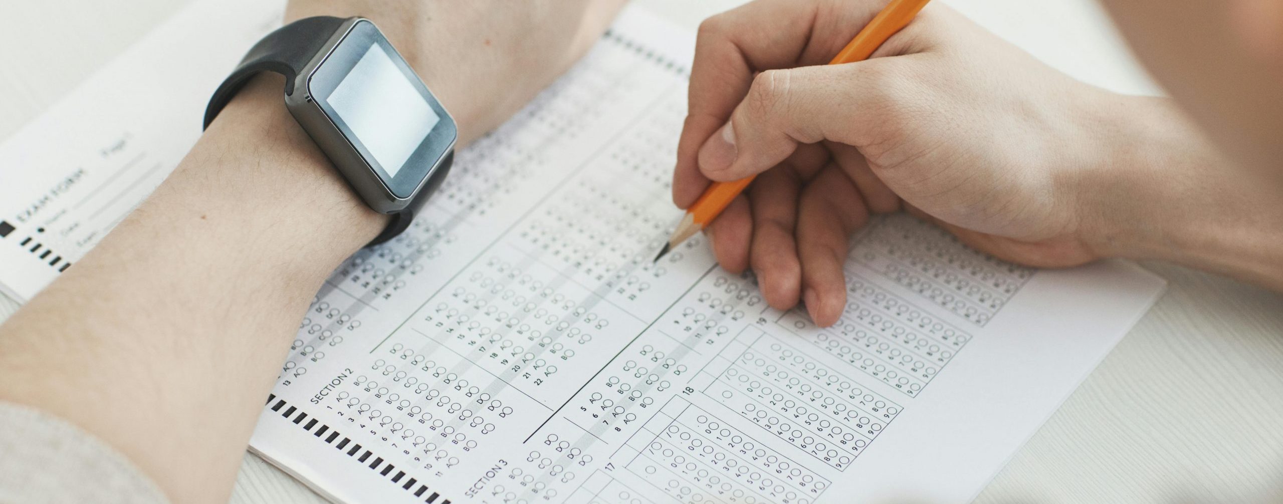 pexels-andy-barbour-6684265